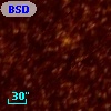 BSDL 1361