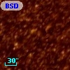 BSDL 1365