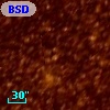 BSDL 1378