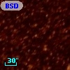 BSDL 1423