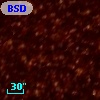 BSDL 1438