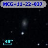 MCG+11-22-037