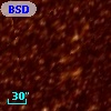 BSDL 1513