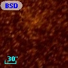 BSDL 1571