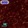 BSDL 1704