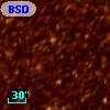 BSDL 1736