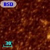BSDL 1783