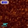 BSDL 1807