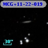 MCG+11-22-019