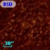 BSDL 1874