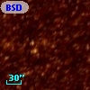 BSDL 1892