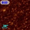 BSDL 1897