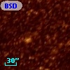 BSDL 1906