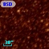 BSDL 1908