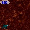 BSDL 1928