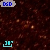 BSDL 1951