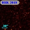 BSDL 2019