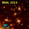 BSDL 2213