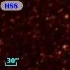 H88 115