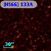 [HS66] 133A