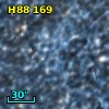 H88 169