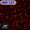 H88 217