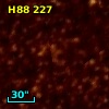 H88 227