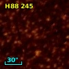 H88 245