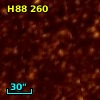 H88 260