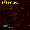 [HS66] 247