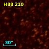 H88 210