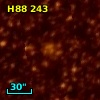 H88 243
