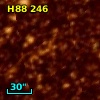 H88 246