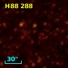 H88 288