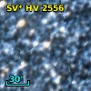 SV* HV  2556