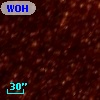 WOH G 321