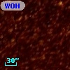 WOH G 336