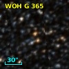 WOH G 365