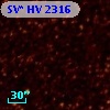 SV* HV  2316
