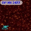 SV* HV  2477