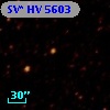 SV* HV  5603