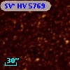 SV* HV  5769