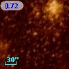 [L72] LH  31-1005