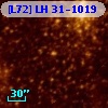 [L72] LH  31-1019