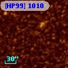 [HP99]  1010