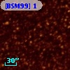 [BSM99]   1