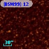 [BSM99]  12
