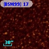 [BSM99]  17
