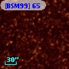 [BSM99]  65