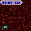 [BSM99] 129